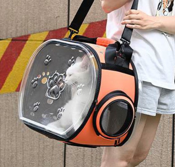 Bolso Transparente Plegable Paw