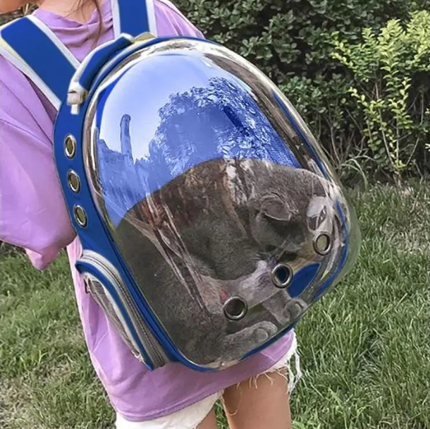 Morral Panorámico para Mascotas