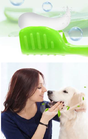 Crema dental y cepillo