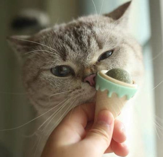 Bola de Catnip-Diseño Helado