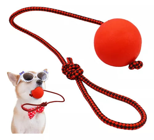 Juguete lazo con pelota maciza