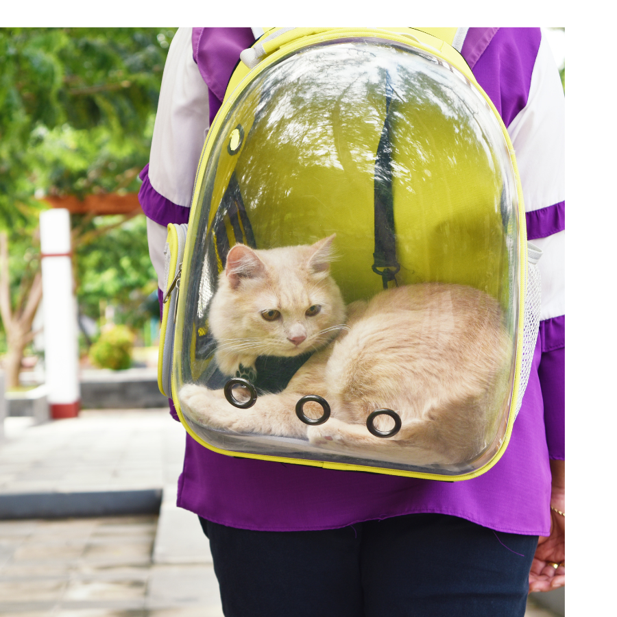 Morral Panorámico para Mascotas
