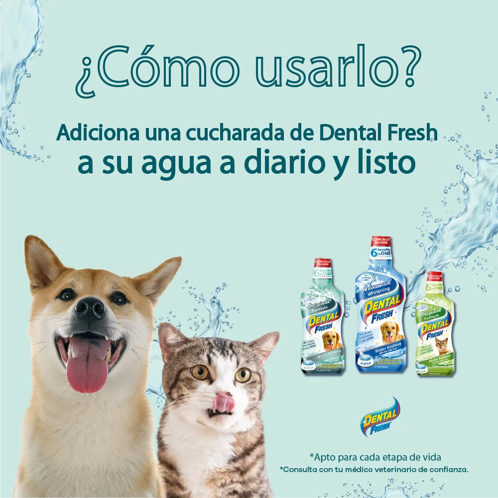 Spray Oral Dental Fresh Original Gatos & Perros 4oz