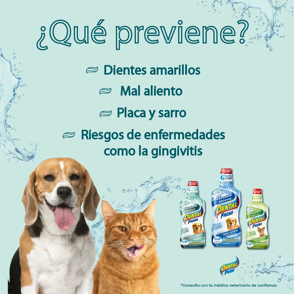Spray Oral Dental Fresh Original Gatos & Perros 4oz