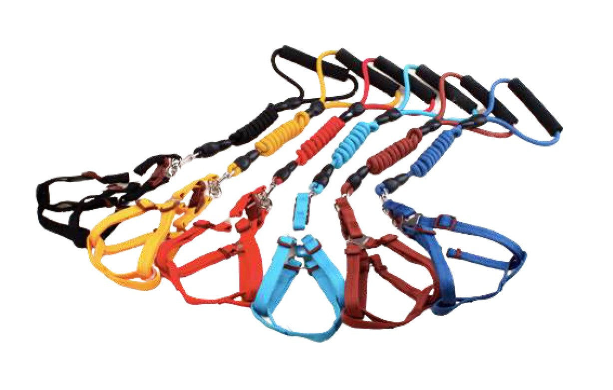Traílla con Arnés Estilo Paracaídas para Perros y Gatos