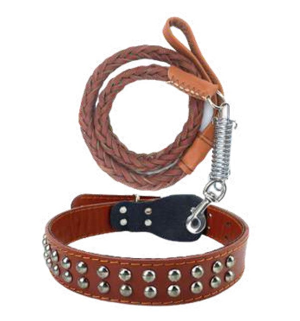 Collar y correa en cuero
