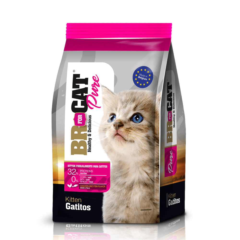 Br for Cat Pure Gatitos