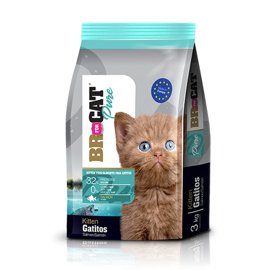 Br For Cat Pure Gatitos Salmón